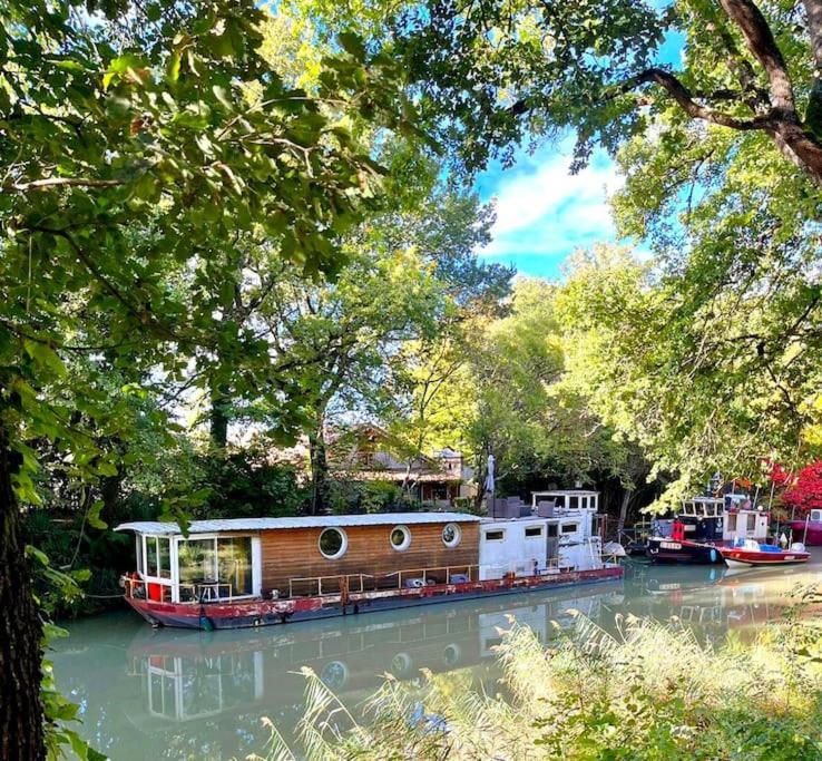 Insolite Peniche Amazonie Canal Du Midi Gardouch Luaran gambar