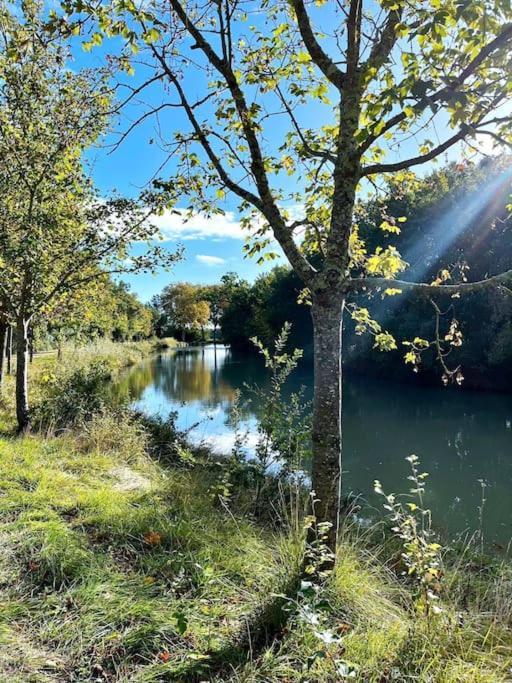 Insolite Peniche Amazonie Canal Du Midi Gardouch Luaran gambar