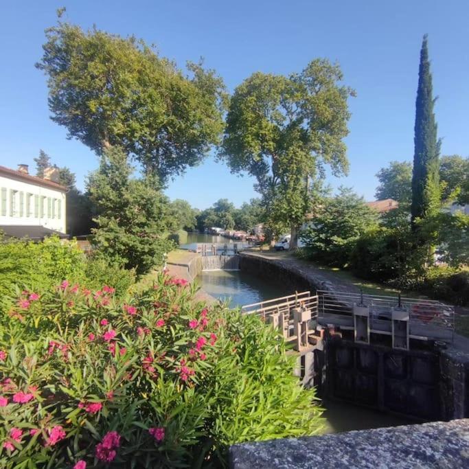 Insolite Peniche Amazonie Canal Du Midi Gardouch Luaran gambar